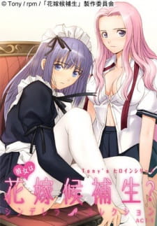Poster Anime Tony's Heroine Series: Kanojo wa Hanayome Kouhosei? Cinderella Collection