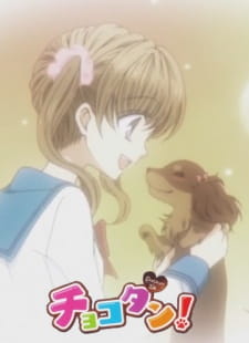 Poster Anime Chocotan!