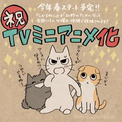 Gambar Anime: Shikaru Neko