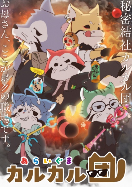 Gambar Anime: Araiguma Calcal-dan