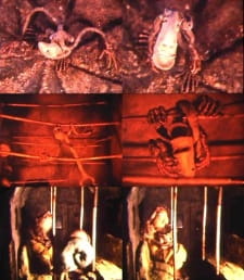 Gambar Anime Born by Myself