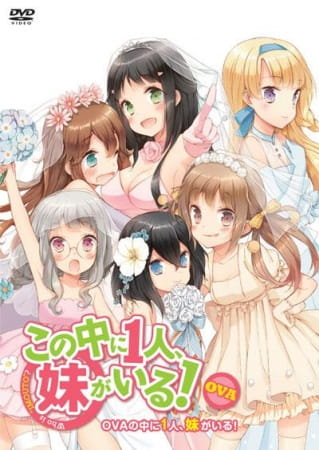 Anime Poster: Kono Naka ni Hitori, Imouto ga Iru!: Ani, Imouto, Koibito