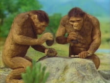 Poster Anime Hito no Kita Tooku Nagai Michi