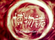 Poster Anime Hakubutsushi