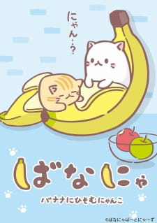Poster Anime Bananya