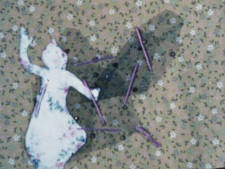 Poster Anime Tori-tachi no Sumu Tokoro