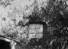 Poster Anime My Shelter