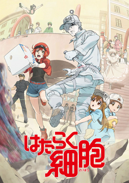 Poster Anime: Hataraku Saibou