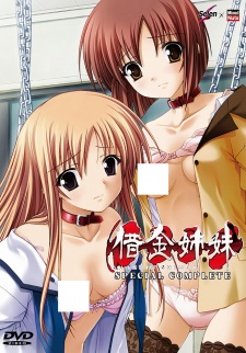 Poster Anime Shakkin Shimai