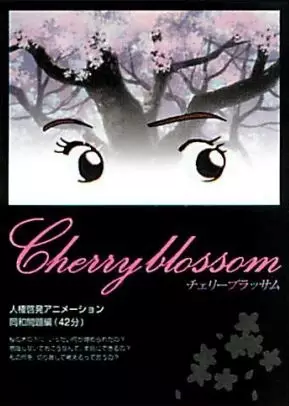 Gambar Anime: Cherry Blossom