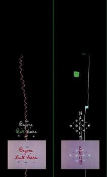 Poster Anime Shousei Shikisai Gensou