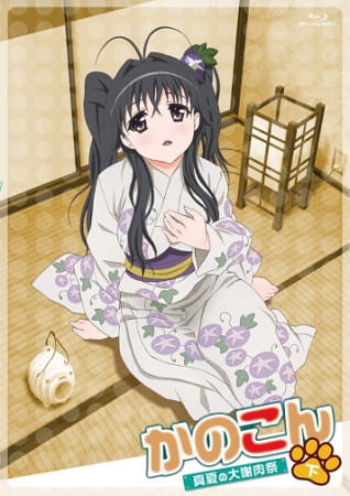 Poster Anime: Kanokon: Manatsu no Dai Shanikusai