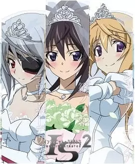 Poster Anime: IS: Infinite Stratos 2 - Infinite Wedding