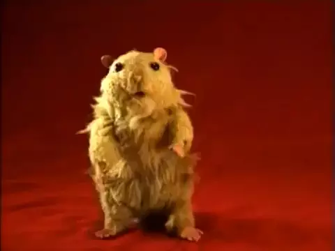 Poster Anime: Hamster Sam