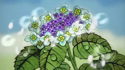 Poster Anime: Natsu Koibana