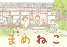 Poster Anime Mameneko