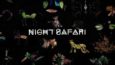Poster Anime Night Safari