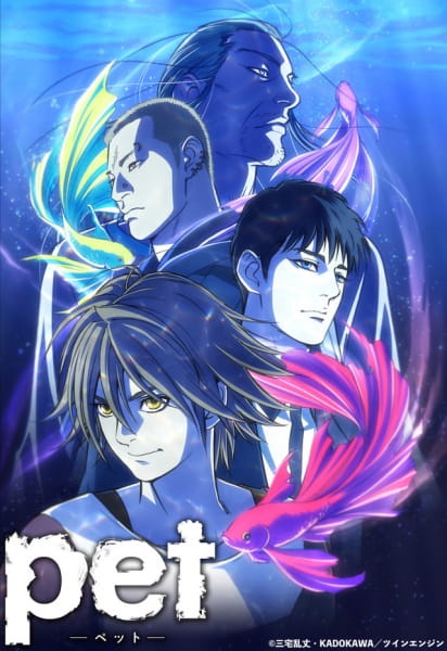 Gambar Anime: Pet