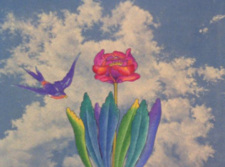 Poster Anime La Golondrina