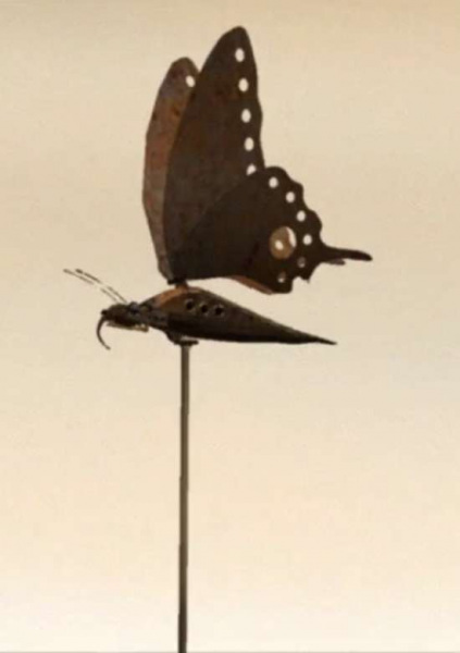 Poster Anime: Lost Butterfly