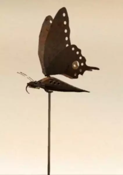Poster Anime: Lost Butterfly