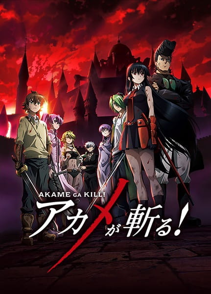 Anime image: Akame ga Kill!