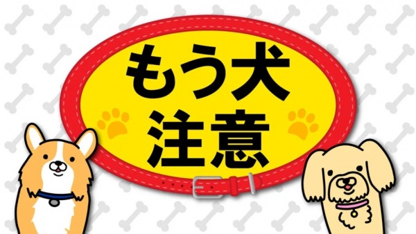 Gambar Anime: Mou Inu Chuui