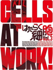 Poster Anime Hataraku Saibou Specials