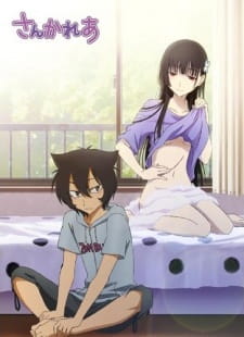 Poster Anime Sankarea