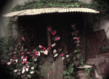 Poster Anime Shelter