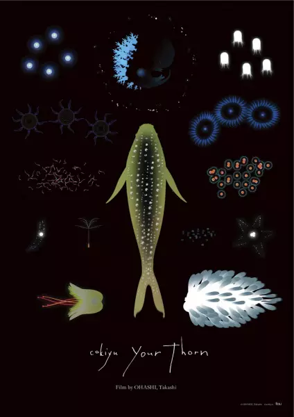 Poster Anime: Your Thorn