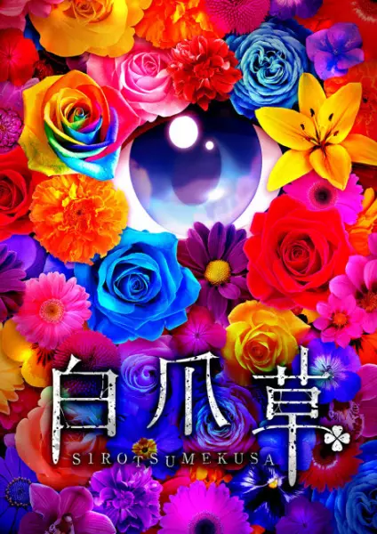Poster Anime: Sirotsumekusa