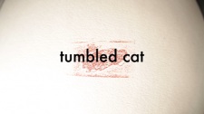 Poster Anime Tumbled Cat