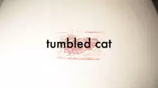 Gambar Anime Tumbled Cat