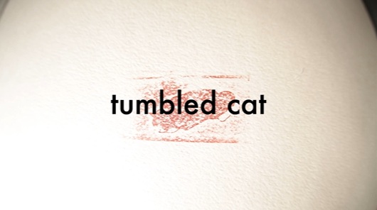 Anime image: Tumbled Cat