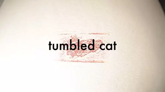 Gambar Anime: Tumbled Cat
