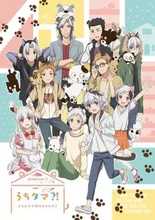 Gambar Anime Uchi Tama?! Uchi no Tama Shirimasen ka?