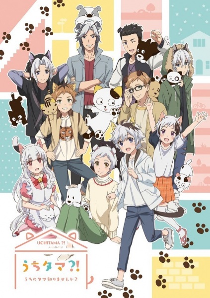 Gambar Anime: Uchi Tama?! Uchi no Tama Shirimasen ka?