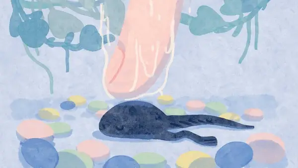 Gambar Anime: Tsukimi Gokochi