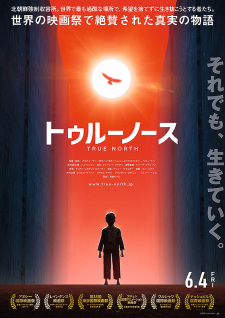 Poster Anime True North
