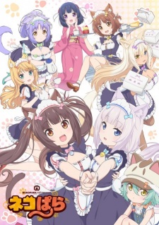 Poster Anime Nekopara