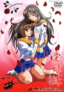 Poster Anime Ai Shimai: Futari no Kajitsu