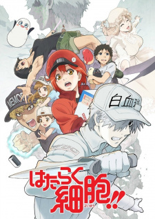 Poster Anime Hataraku Saibou!!