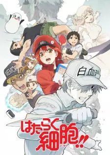 Anime image Hataraku Saibou!!