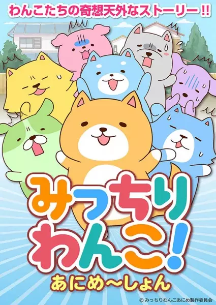Poster Anime: Micchiri Wanko! Animation