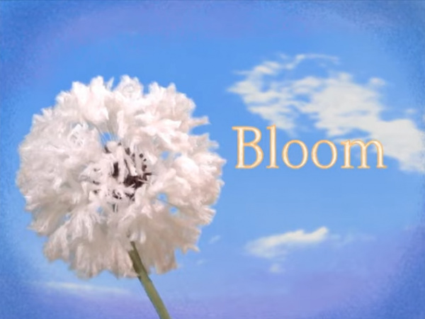 Poster Anime: Bloom