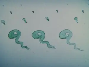 Gambar Anime: Han Seisaku Sakuhin