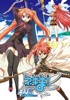 Poster Anime Mahou Sensei Negima!: Shiroki Tsubasa Ala Alba