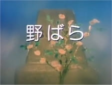 Poster Anime Nobara