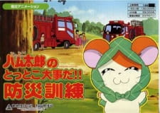 Gambar Anime Tottoko Hamtarou no Tottoko Daijida!! Bousai Kunren